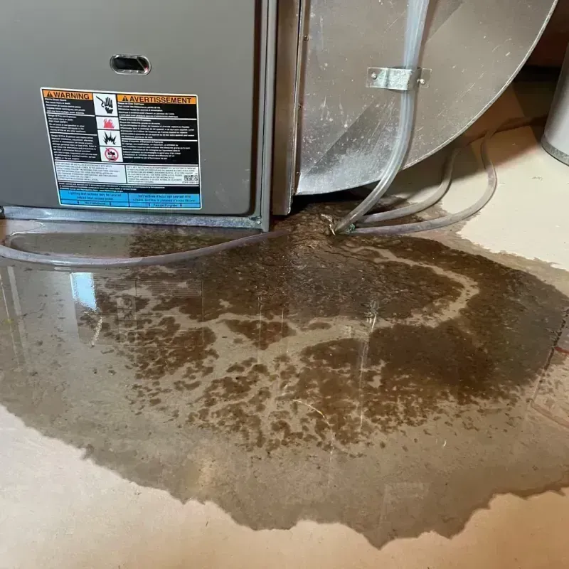 Appliance Leak Cleanup in Englewood, CO